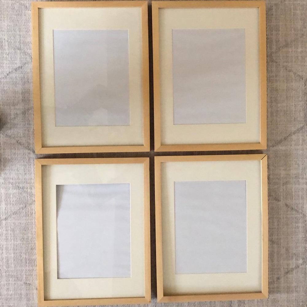 Set of 4 Ribba Frames
